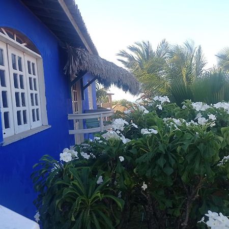 Charming Blue House With Kitchen Parking And Garden Villa Canoa Quebrada Exteriör bild
