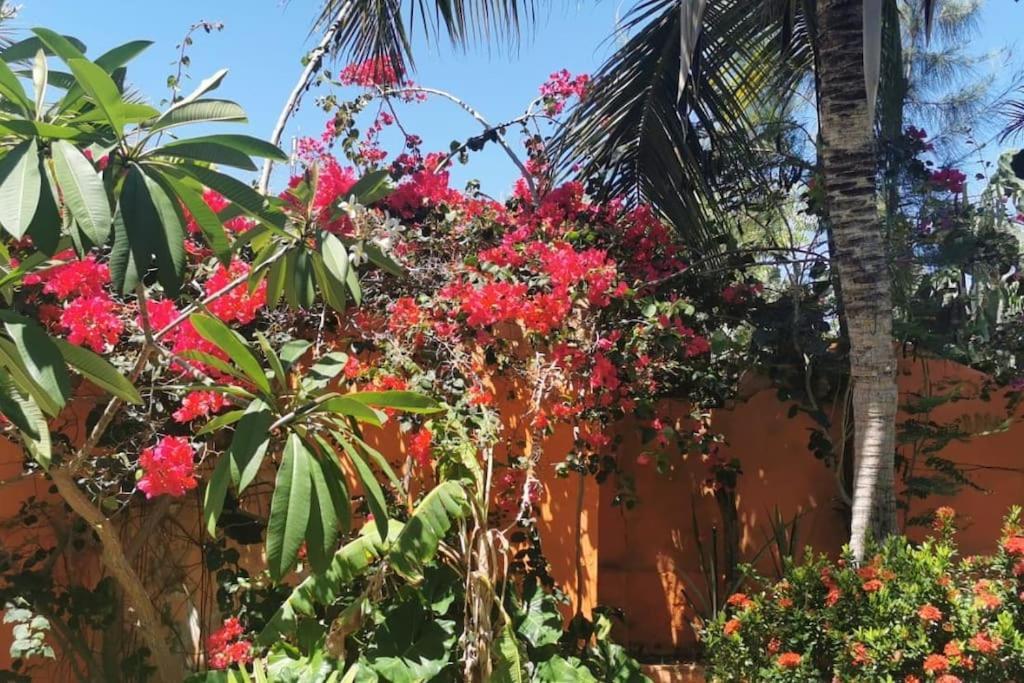 Charming Blue House With Kitchen Parking And Garden Villa Canoa Quebrada Exteriör bild